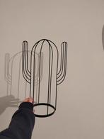 Decoratieve cactus, Huis en Inrichting, Kamerplanten, Ophalen, Cactus, Volle zon, Minder dan 100 cm