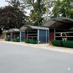 Boogstal groepshuisvesting voor kalveren – buitengebruik, Dieren en Toebehoren, Verzenden, Nieuw