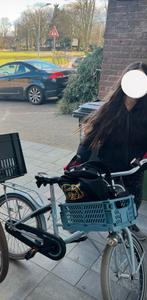 Mooie stadsfiets met lage instap, Ophalen, Overige merken, 53 tot 56 cm, Gebruikt