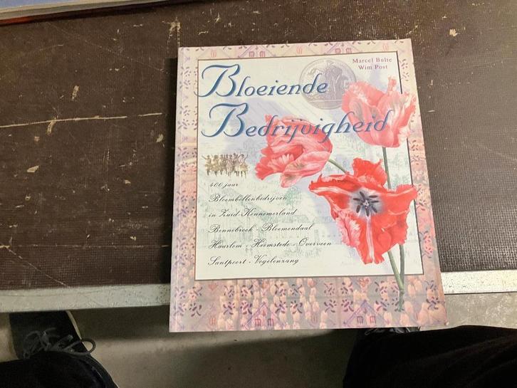 Bennebroek Bloemendaal Haarlem Heemstede Overveen Santpoort, Boeken, Geschiedenis | Stad en Regio, Zo goed als nieuw, 20e eeuw of later