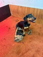 Jack russel x Pomeriaan pups, Jack Russell Terriër, 8 tot 15 weken, Meerdere, Meerdere dieren