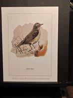 Koperwiek - Buzin - prent kunst  afmeting  18 x 24 cm, Verzenden, 1980 tot heden, Zo goed als nieuw, Dier