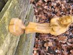 antiek beeld hout lopende christus, Ophalen of Verzenden