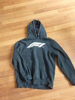 formule 1 racing hoody maat s of grote kindermaat, Gedragen, Ophalen of Verzenden