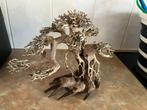 Bonsai en 2 wilgen, Ophalen, Zo goed als nieuw, Plant(en), Steen of Hout