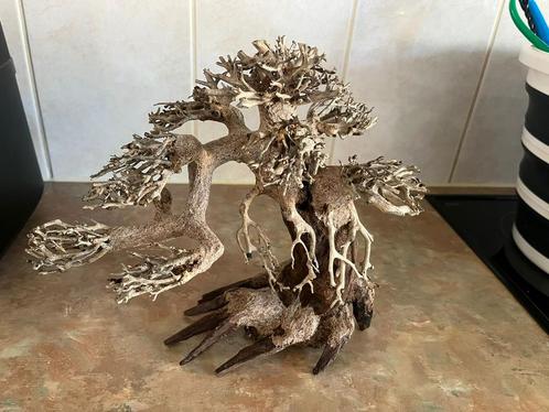 Aquarium Bonsai en 2 wilgen, Dieren en Toebehoren, Vissen | Aquaria en Toebehoren, Zo goed als nieuw, Plant(en), Steen of Hout