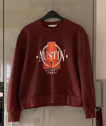 Steenrode trui maat XS beschikbaar voor biedingen