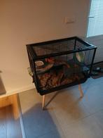 Hamsterhok, Dieren en Toebehoren, Ophalen, Minder dan 75 cm, Hok, Minder dan 60 cm