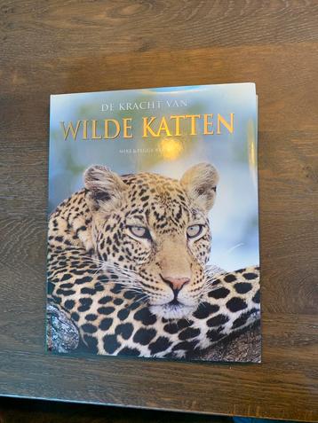 De Kracht van Wilde Katten beschikbaar voor biedingen