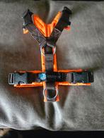 Anny x tuig mt xxs, Dieren en Toebehoren, Ophalen of Verzenden, Zo goed als nieuw