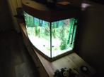 juwel aquarium, Dieren en Toebehoren, Vissen | Aquaria en Toebehoren, Ophalen, Gebruikt, Gevuld zoetwateraquarium