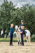 ALLER liefste Welsh-A BIXIE pony, Merrie, B pony (1.17m tot 1.27m), Gechipt, 0 tot 2 jaar