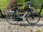 Sparta Pallas Hybride, 53 tot 56 cm, Ophalen, Zo goed als nieuw, Sparta