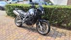 Triumph Tiger 955I  2005, Motoren, Motoren | Triumph, 3 cilinders, Particulier, Meer dan 35 kW, Toermotor