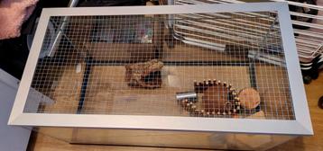 Terrarium Knaagdier Knaagdieren (dwerg) Hamster kooi beschikbaar voor biedingen