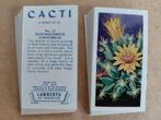 Cacti complete set 25 tea cards Lambert & Sons 1962 cactus, Ophalen