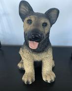 Geweldig leuk decoratief beeld herdershond herder!, Ophalen, Zo goed als nieuw