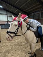 Verzorger/bijrijder aangeboden, Ophalen of Verzenden, Zo goed als nieuw