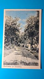 Rijs Boslaantje . Boskleantsje yn Gaesterlan, Ophalen of Verzenden, 1920 tot 1940, Gelopen, Friesland