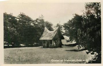 (388-390-019) Driebergen-Rijsenburg Hutje in de duinen beschikbaar voor biedingen