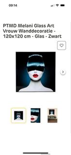 Plexiglas art, Ophalen, Zo goed als nieuw, Overige onderwerpen