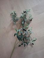 Olijftak 80cm, Ophalen of Verzenden, Zo goed als nieuw, Binnen