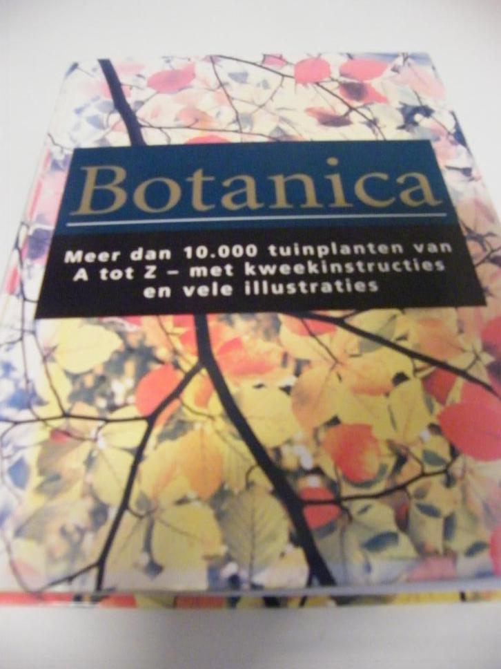 bloemenboek, Tuin en Terras, Planten | Tuinplanten, Vaste plant, Overige soorten, Halfschaduw, Ophalen of Verzenden