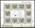 Postzegels Vogels in Nederland: Watersnip, Ophalen of Verzenden, Na 1940, Postfris