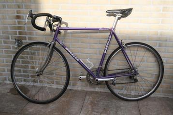 Racefiets Wheeler Sirmione maat 57,5cm (center-top) beschikbaar voor biedingen