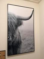 Groot ingelijst canvas schilderij - Hooglanders, Huis en Inrichting, Ophalen, Zo goed als nieuw, Schilderij, 75 cm of meer