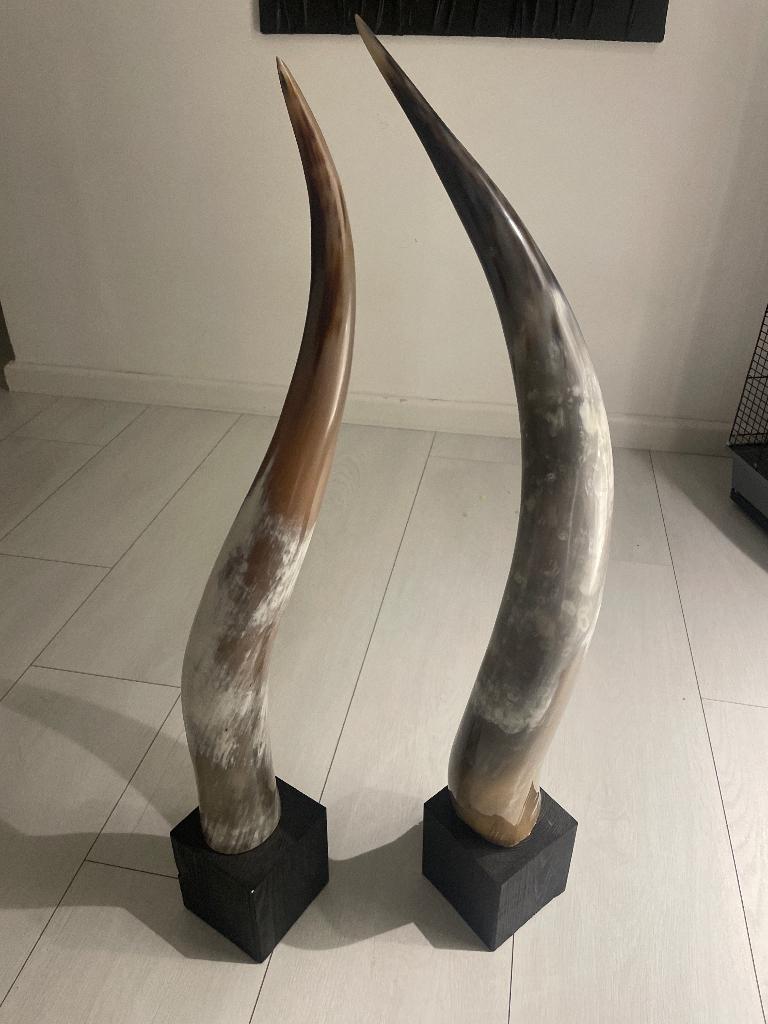 Hoorns woonaccessoires, Ophalen, Zo goed als nieuw