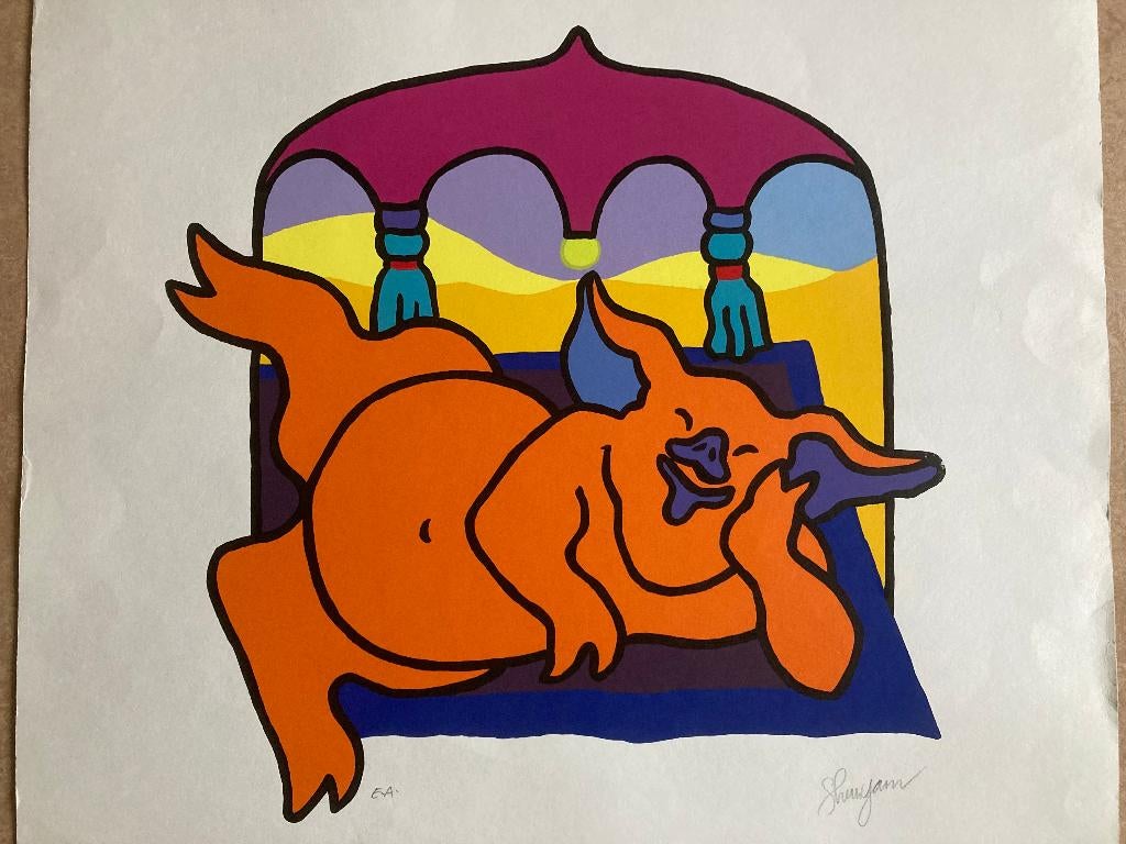 Kleurige Zeefdruk liggend varken en baldekijn - modern, Ophalen