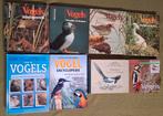 8 x boeken / encyclopedie over vogels, Ophalen of Verzenden, Gelezen, Vogels