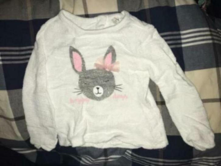 wit truitje met konijn in maat 98/104, Kinderen en Baby's, Kinderkleding | Maat 98, Gebruikt, Meisje, Trui of Vest, Ophalen