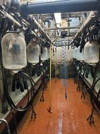 Melkstal 2x5 visgraad te koop, Ophalen, Veehouderij, Melktechniek