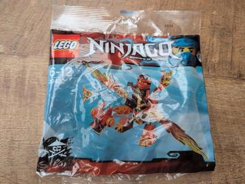 Lego Ninjago 30422 - Nieuw! beschikbaar voor biedingen