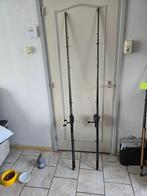 NGT Specialist Carp Hengel (set van 2 ), Ophalen, Zo goed als nieuw, Werphengel