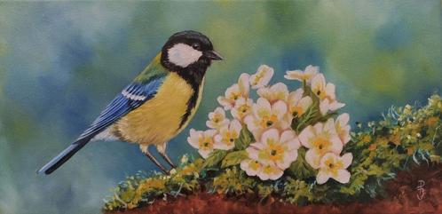 Schilderij koolmees 170 - olieverf - origineel cadeau vogel, Antiek en Kunst, Kunst | Schilderijen | Klassiek, Ophalen of Verzenden