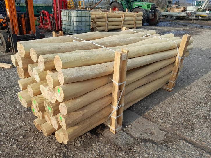 Spintvrij geschuurde robinia, duikelpalen 3 mtr 14/16 dik, Tuin en Terras, Palen, Balken en Planken, Nieuw, Palen, 250 cm of meer