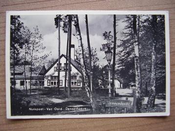 Nunspeet,  Vac. Oord Dennenhoeve beschikbaar voor biedingen