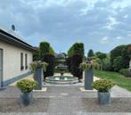 Fontein leeuwkoppen met rand, Ophalen, Nieuw, Beton, Fontein