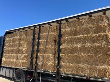 Trawestro  - Gerstestro - Strooisel - Spaans gehamerd stro beschikbaar voor biedingen