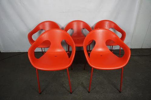 Arrmet Sunny kuipstoel, kuipstoelen, stoelen, Huis en Inrichting, Stoelen, Nieuw, Vijf, Zes of meer stoelen, Kunststof, Rood, Ophalen of Verzenden