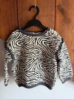 Hema Zebra Truitje Maat 80, Ophalen of Verzenden, Zo goed als nieuw, Jongetje of Meisje, Truitje of Vestje