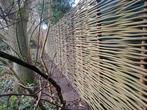 Wilgenschutting,Natuurlijk Afscheiding,Duurzaam,Eigen Kweek, 1 tot 2 meter, Minder dan 3 meter, Nieuw, Ophalen of Verzenden