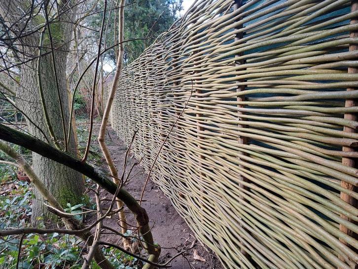 Wilgenschutting,Natuurlijk Afscheiding,Duurzaam,Eigen Kweek, Tuin en Terras, Schuttingen, Nieuw, Hout, 1 tot 2 meter, Minder dan 3 meter