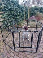 hondenren /rek, Ophalen, Zo goed als nieuw