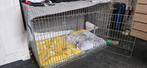 grote hondenkooi large dog cage Xxl, Dieren en Toebehoren, Hondenbenches, Ophalen of Verzenden, Gebruikt