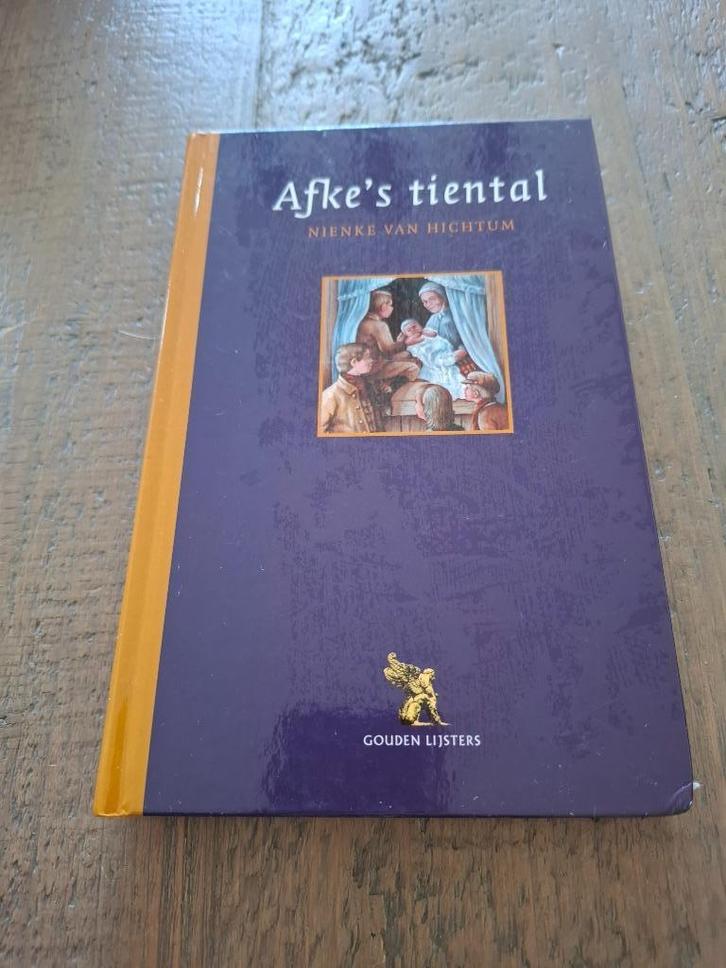 Boek - Afke's Tiental - Nienke van Hichtum, Boeken, Kinderboeken | Jeugd | 10 tot 12 jaar, Zo goed als nieuw, Ophalen of Verzenden