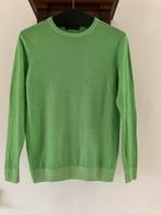 Daniele Fiesoli appelgroene 100% merino trui mt M izgs, Ophalen of Verzenden, Gedragen, Maat 38/40 (M), Groen